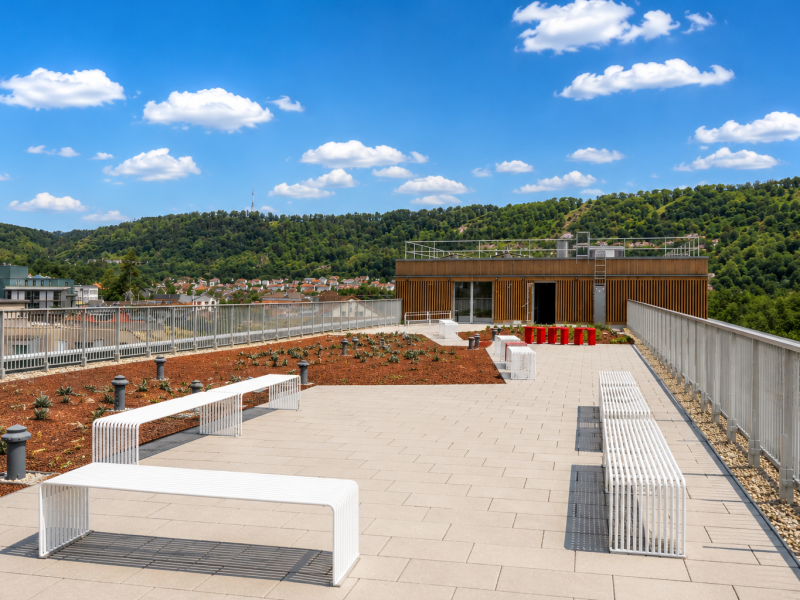 Dachterrasse Tag der offenen Tür